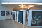 Výstava Pardubice 2007